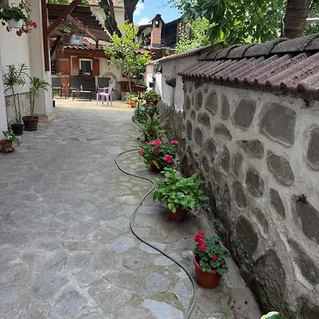 гаджо Gadjo 반스코